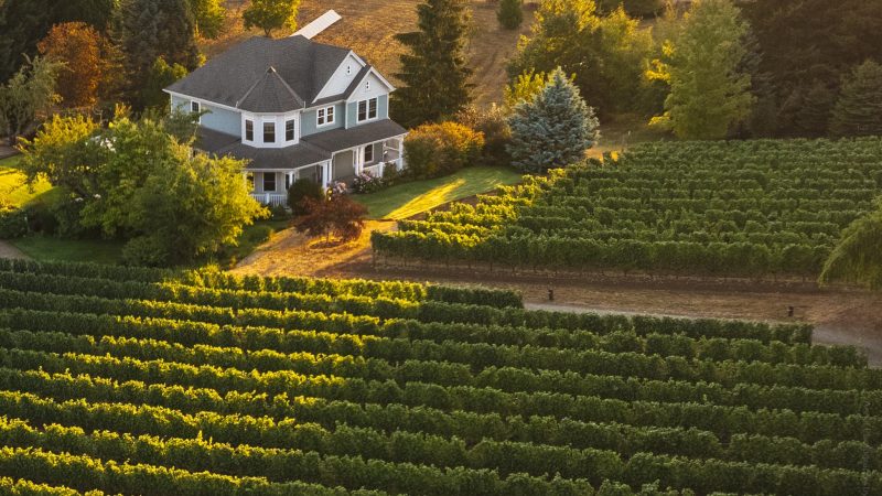 Vineyard Real Estate